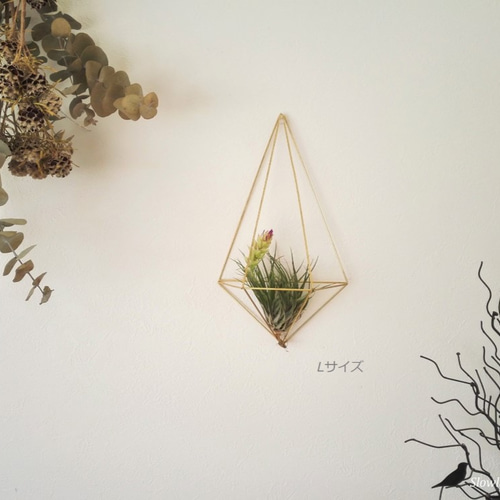 グリーンを壁に飾ろう。「真鍮製のヒンメリ 壁掛けエアプランツ