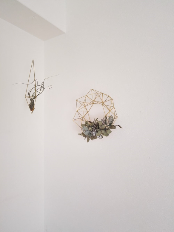 エアプランツをおしゃれに飾ろう！真鍮製エアプランツハンガー（六面体）吊り下げタイプ　 3枚目の画像