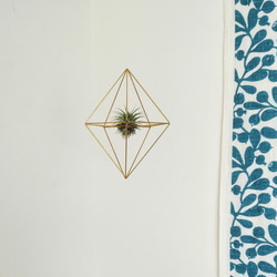 ～エアプランツをおしゃれに飾ろう～真鍮製のエアプランツホルダー(10面体キューブ) 1枚目の画像