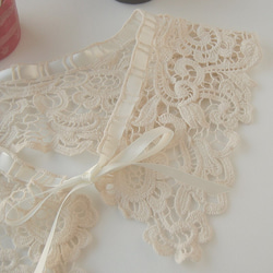 卡拉，衣領，Crochat，穿著，秋季，蕾絲，粉紅色，緞帶，白色，布領 第1張的照片