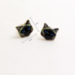 藍眼貓耳環，成人可愛，貓，藍眼貓 第3張的照片