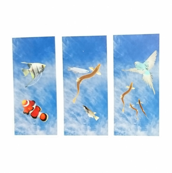 魚の透明しおり　3種類セット 送料無料 1枚目の画像