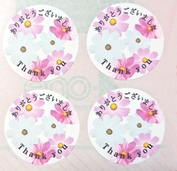 コスモス(秋桜) サンキューシール 2 丸型 30mm  1種類×96枚 2枚目の画像