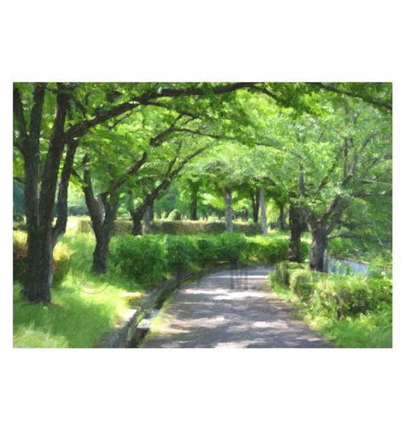 『葉桜の遊歩道』 厚塗り絵画風 A4サイズ 送料無料 1枚目の画像