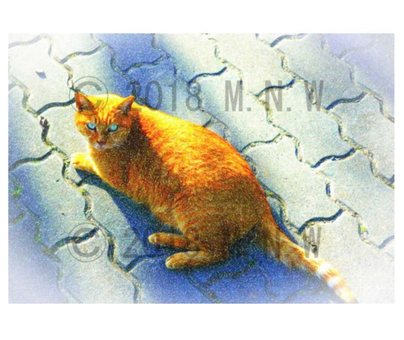 在庫あり】 色鉛筆画 A4.猫 クリスマス 絵画 - 絵画 絵画 - 絵画