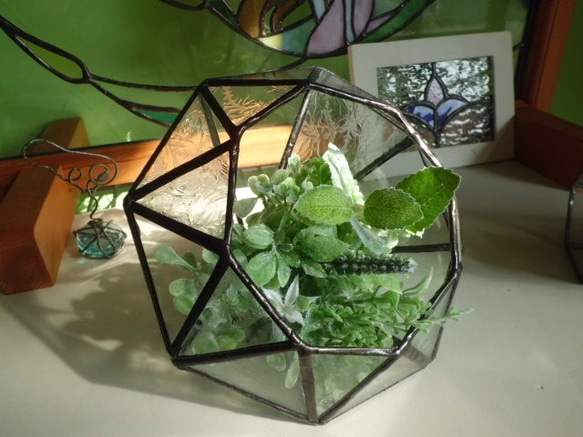 ステンドグラスのテラリュウム 2枚目の画像