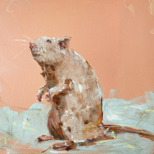 標本図風のネズミと骨の絵画 アート 原画 キャンバス画 動物の絵