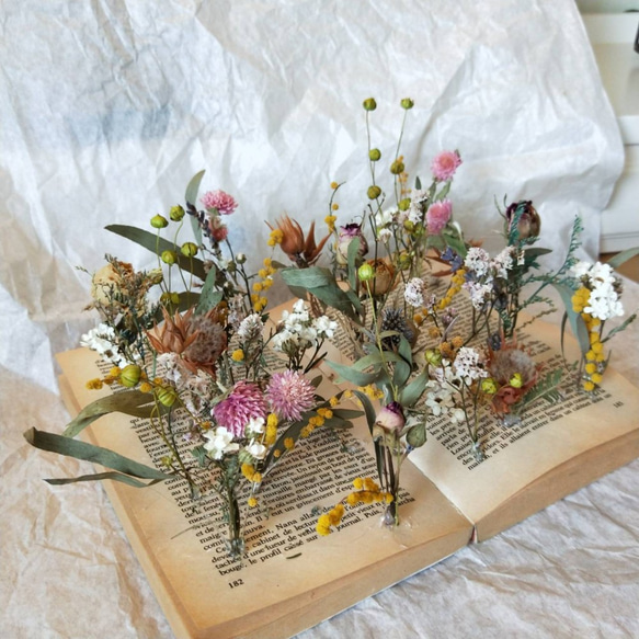 乾燥花材料包系列 / 花的書森林 / 第1張的照片