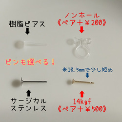  第2張的照片