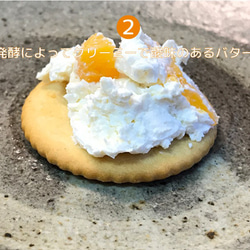 【季節限定】豆乳発酵クリームバター『きんのばたぁ』  メロン 3枚目の画像