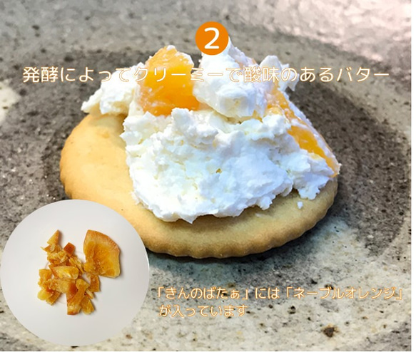 【季節限定】植物性 豆乳発酵バター『きんのばたぁ』 ネーブルオレンジ 4枚目の画像