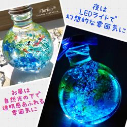 ♡ひんやり夏のハーバリウム♡『金魚鉢』 ◆ころんと可愛い猫瓶◆ 9枚目の画像