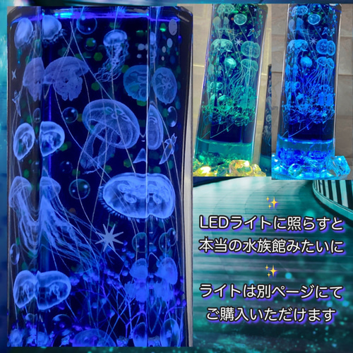 NO.112 アクアリウム✨クラゲ＆熱帯魚の固まるハーバリウム箸置き2個