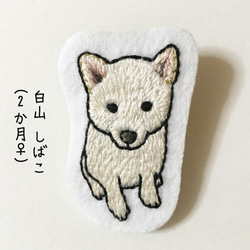 白山しばこ　刺繍ブローチ 柴犬 白柴 1枚目の画像