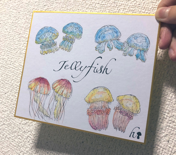 jelly fish 3枚目の画像