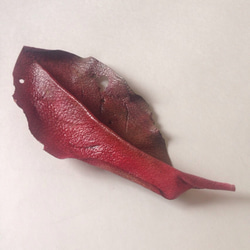 葉っぱのブローチR-1 3枚目の画像