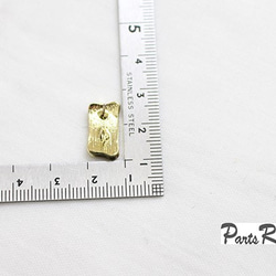 [4件]豹紋變形方形耳環[銀針無扣] [棕色] -mt-2472 第4張的照片