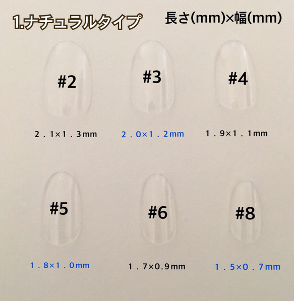  第4張的照片