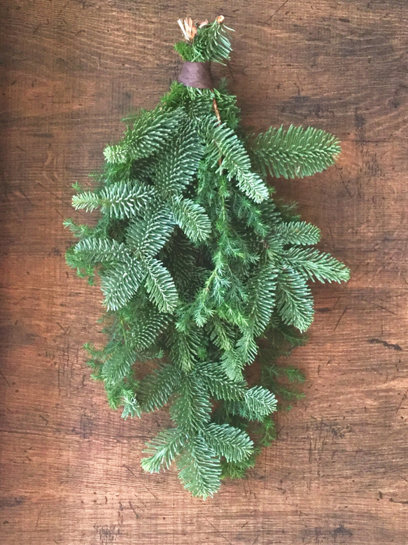 ビビ もみの木スワッグ ツリー型スワッグ フレッシュスワッグ モミの木