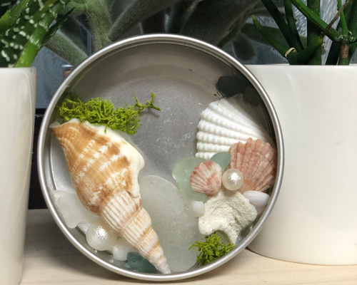 モダンな貝殻マグネット2 その他インテリア雑貨 seaside4ever