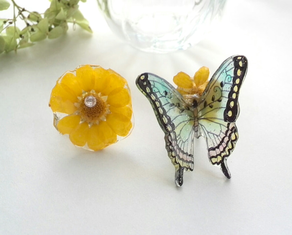虹色の蝶とムルチコーレのイヤリング 1枚目の画像