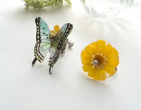 虹色の蝶とムルチコーレのイヤリング 2枚目の画像