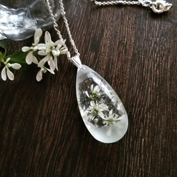 【受注制作】雪の花のネックレス(ユーフォルビアの花)(silver925チェーン) 1枚目の画像
