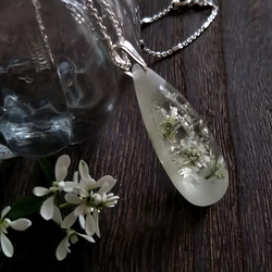 【受注制作】雪の花のネックレス(ユーフォルビアの花)(silver925チェーン) 5枚目の画像