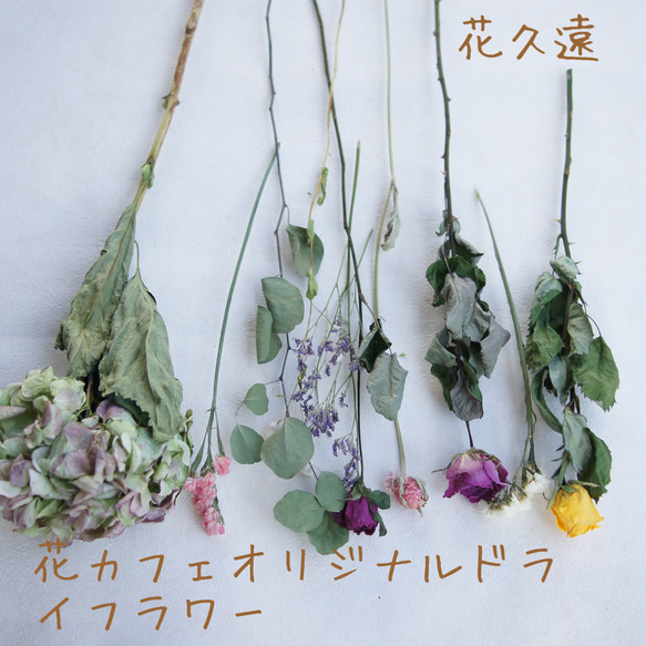 【花久遠】スターチス　（タスマニアオレンジ）花カフェオリジナルドライフラワー 4枚目の画像