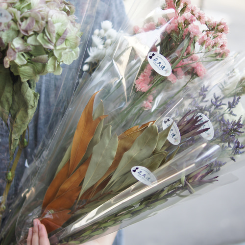 花久遠】リューカデンドロン（ブラッシュ） 花カフェオリジナルドライ