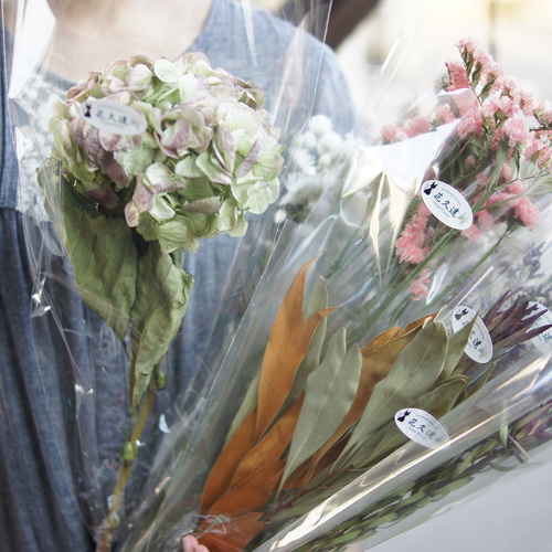 ❇️リューカデンドロン ブラッシュ❣️希少 ドライフラワー リューカデンドロンブラッシュ - ドライフラワーショップ FlowerDeco