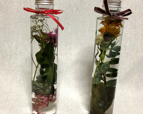 errer 白い小さな花束 パンパスグラス 標本 ハーバリュウム 植物標本 errer 白い小さな花束 パンパスグラス 標本 ハーバリュウム 植物