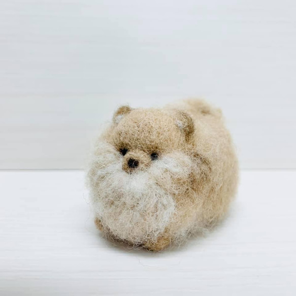 sold! もこもこポメラニアン 手乗り犬 わんこ羊毛フェルト人形