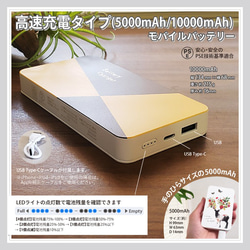「pineapple」モバイルバッテリー #mb-0059【受注生産・通常5～6営業日発送】 3枚目の画像