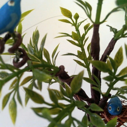 ミニチュアパーツ　～　小鳥が住んでるお庭の木　～ 3枚目の画像