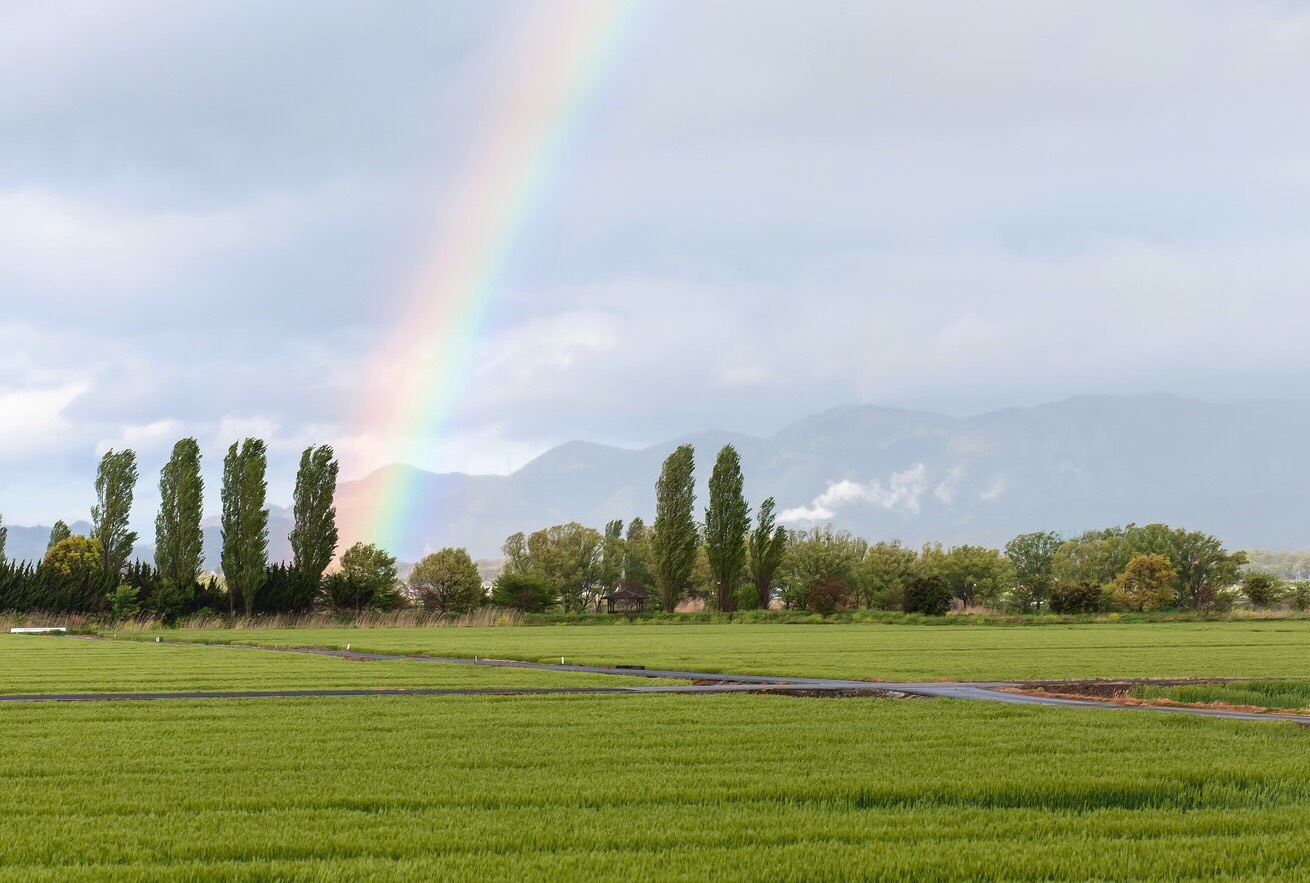 ☆サンキャッチャーとは？色と浄化について☆私の想いです