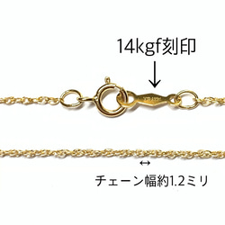 14kgf＊チェーンネックレス＊ロープチェーン＊40.5〜41センチ前後 2枚目の画像