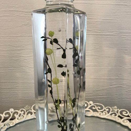 errer ガラスドーム 標本 ハーバリュウム ミニ 植物標本 アンティーク