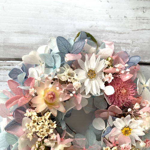 春待ち＊桜色のスターチスと帝王貝細工のナチュラルリース 春待ち