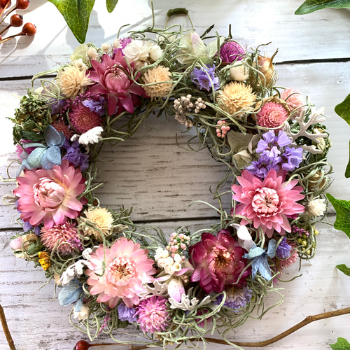 春待ち＊桜色のスターチスと帝王貝細工のナチュラルリース 春待ち＊桜色のスターチスと帝王貝細工のナチュラルリース 春待ち＊