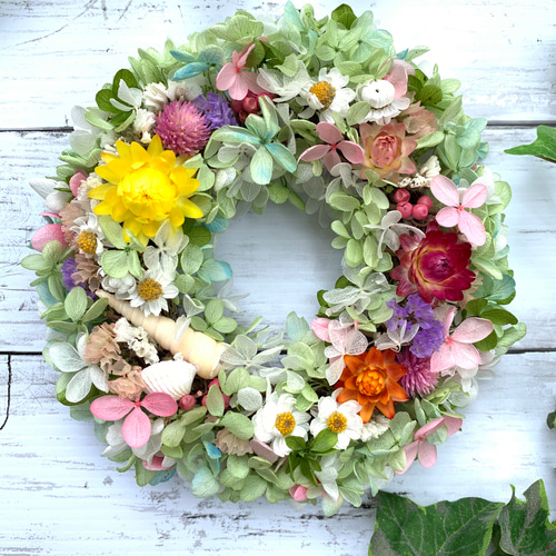 天然ムカデラン15年以上育てた大リース 天然ムカデラン15年以上育てた