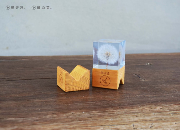 夢天涯 蒲公英冰磚 小木架 (淺) 第1張的照片