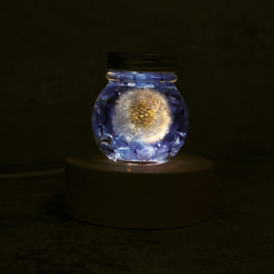 夢天涯 蒲公英浮游玻璃花球(鋁) 第3張的照片
