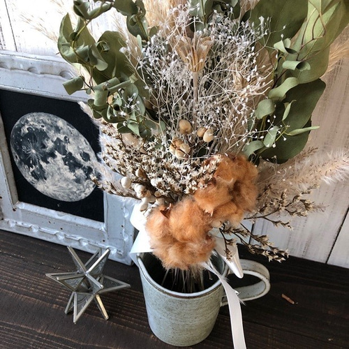 まめ猫様 草木が芽吹く季節に ユーカリとネイティブフラワーの
