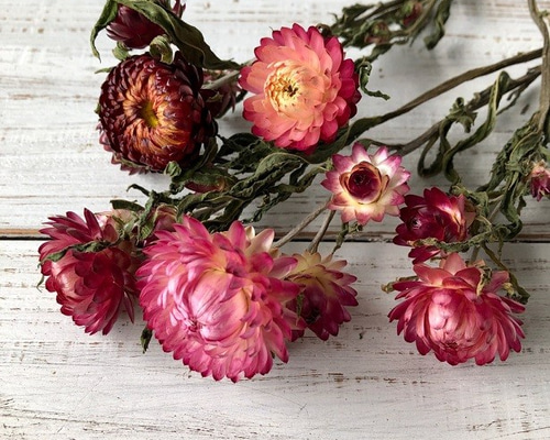 0_d830ab68d35d14af0ed82807a1de