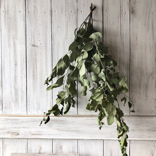 ふわふわkota32　ユーカリ　ラグラス　ドライフラワー　花材　セット ふわふわkota32 ユーカリ ラグラス ドライフラワー 花材 セット