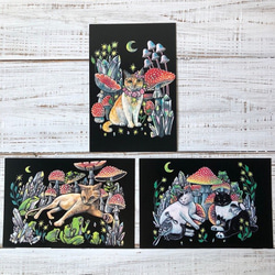 オリジナルポストカード３枚セット 「キノコシリーズ」★キノコ 猫 星月猫 アート 1枚目の画像