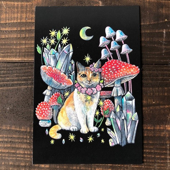 オリジナルポストカード３枚セット 「キノコシリーズ」★キノコ 猫 星月猫 アート 2枚目の画像