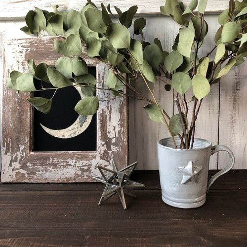 ユーカリポポラス6本セット ユーカリのシンプルスワッグ秋冬収穫