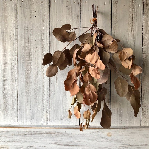 ユーカリポポラス6本セット （エイジングオレンジ)ユーカリのシンプル